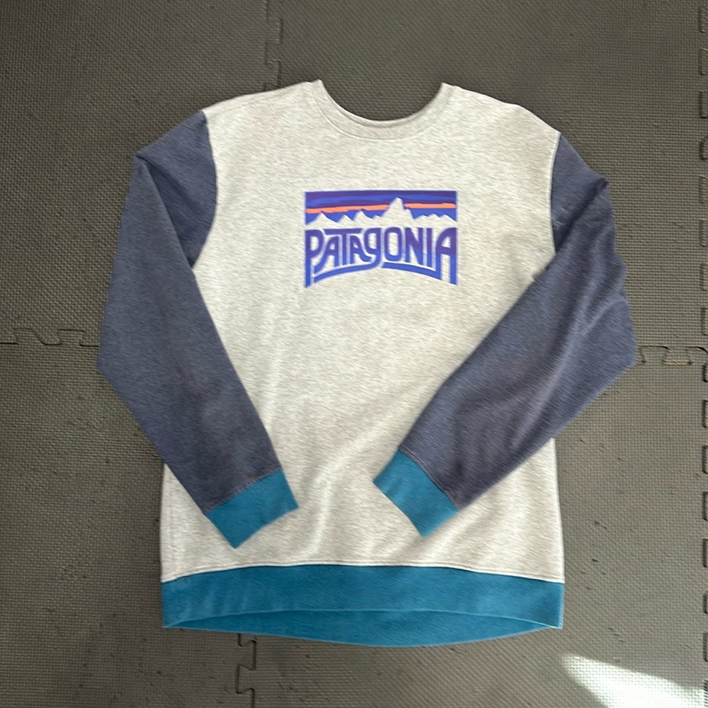 Patagonia organic cotton color block pullover crewneck